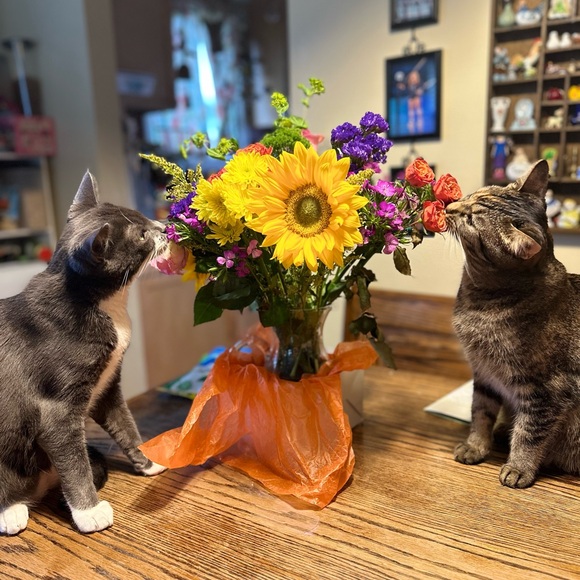 Meet your Posher, Alexis - Picture 3 of 5